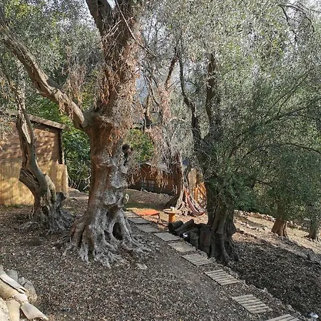 Don Quichotte De La Riviera Chalet *